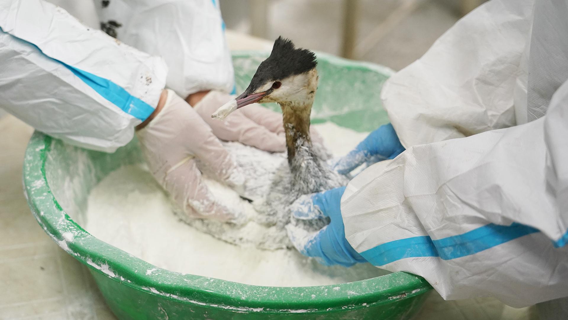 Фото: ИЗВЕСТИЯ/Павел Волков