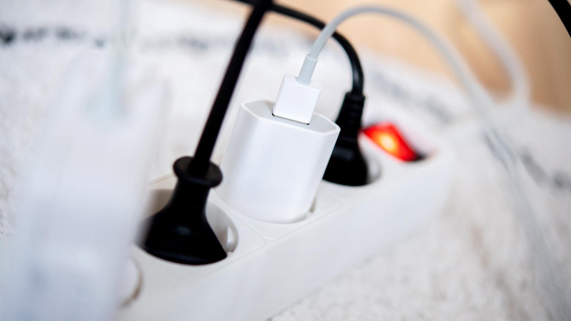 Фото: Hauke-Christian Dittrich/globallookpress.com