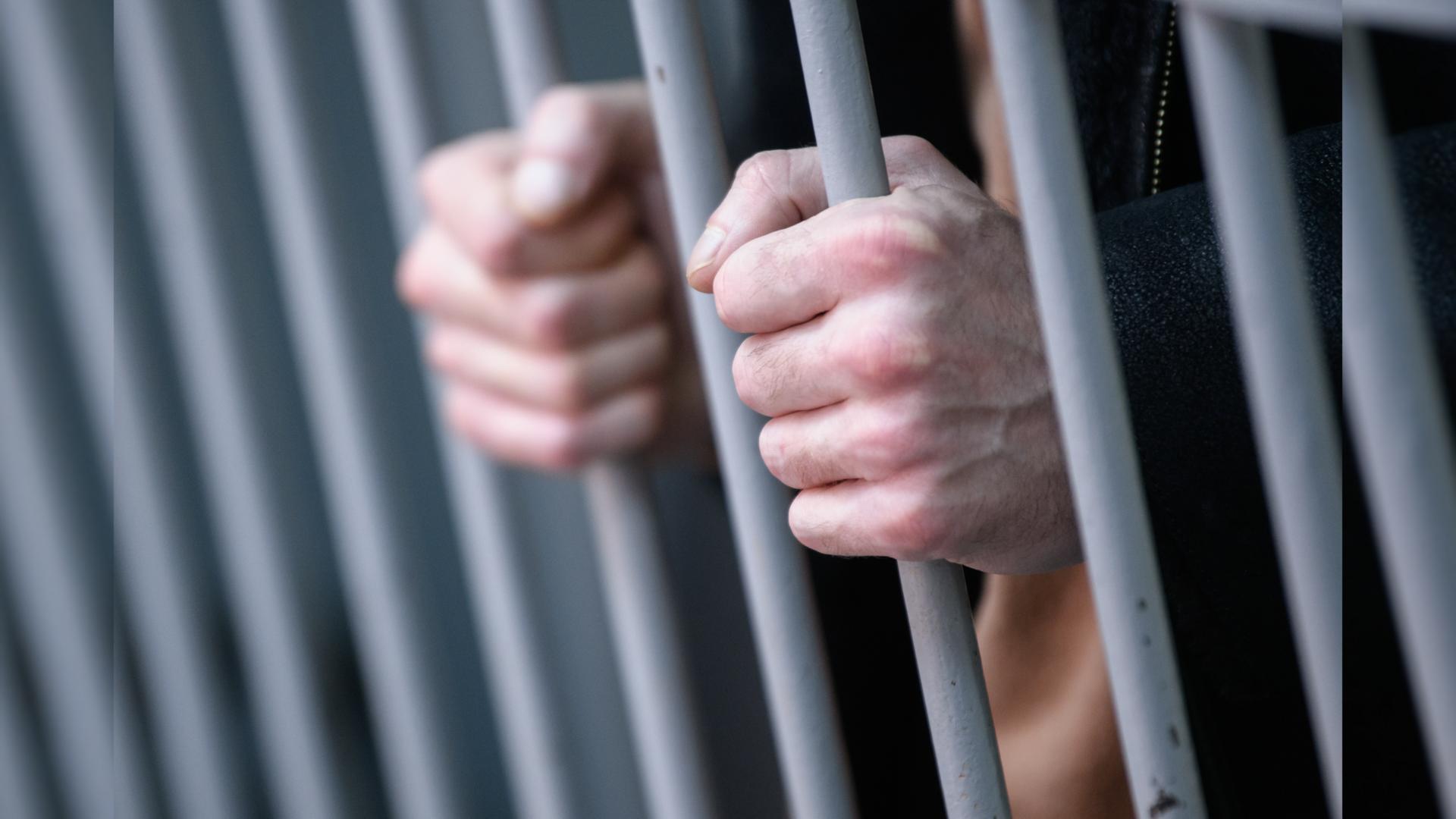 Фото: Ilya Moskovets / globallookpress.com