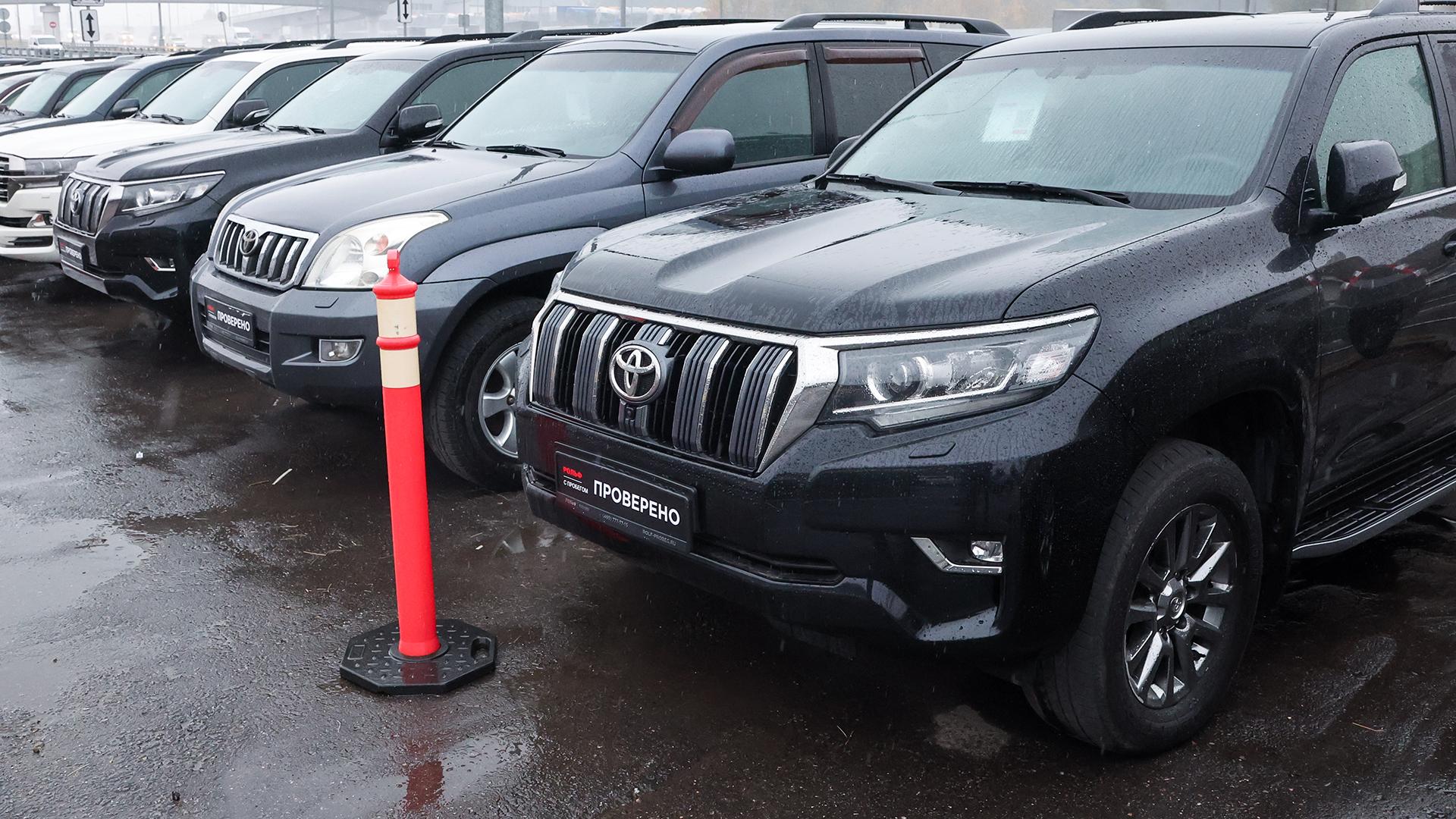 Фото: Belkin Alexey/globallookpress.com