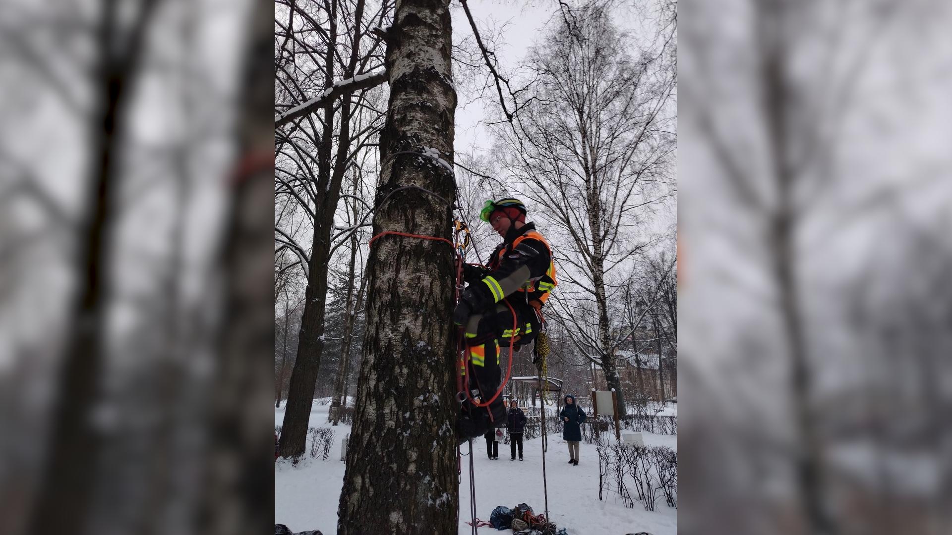 Фото: vk.com/koshkispas