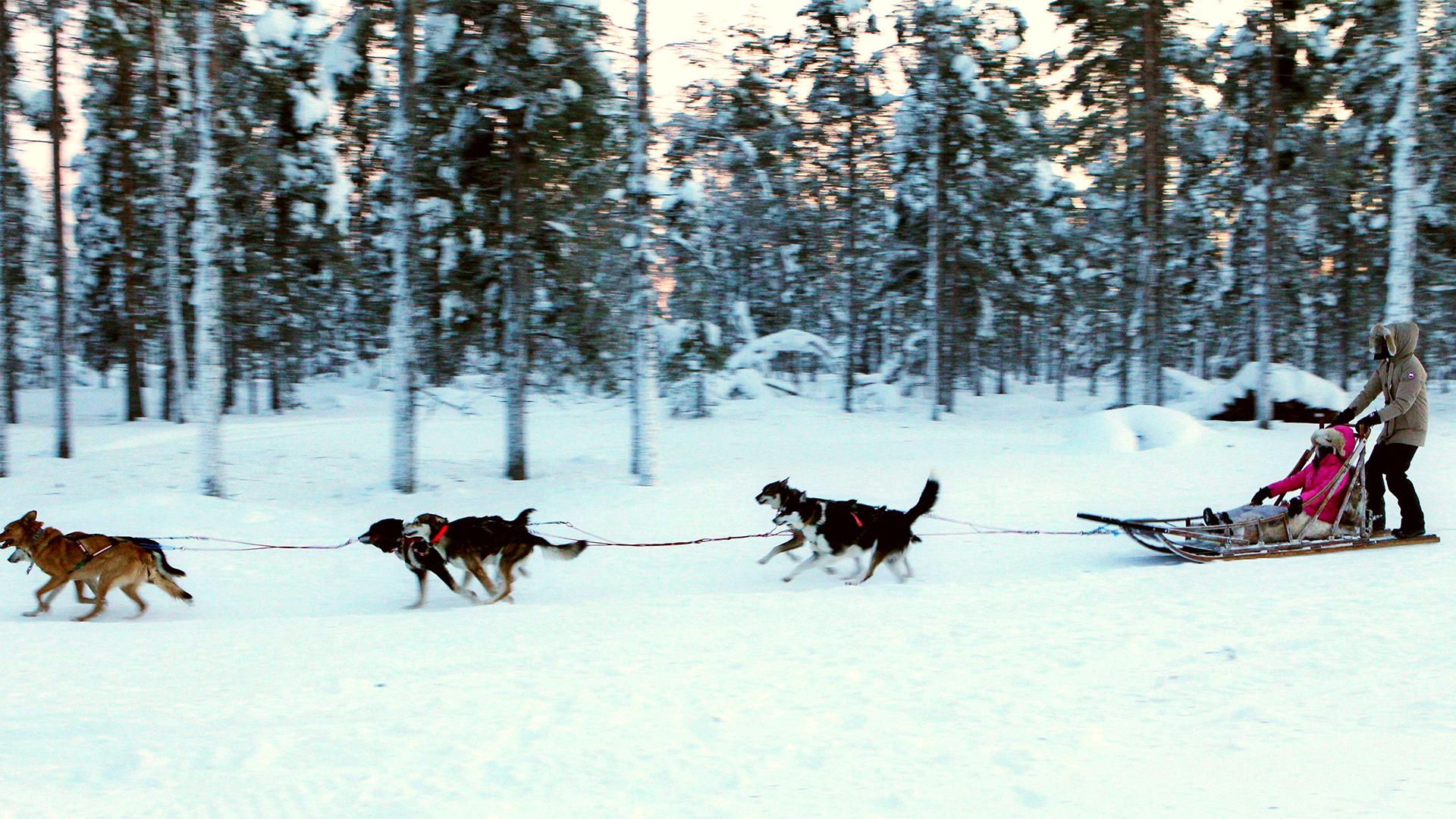 Фото: Li Jizhi/globallookpress.com