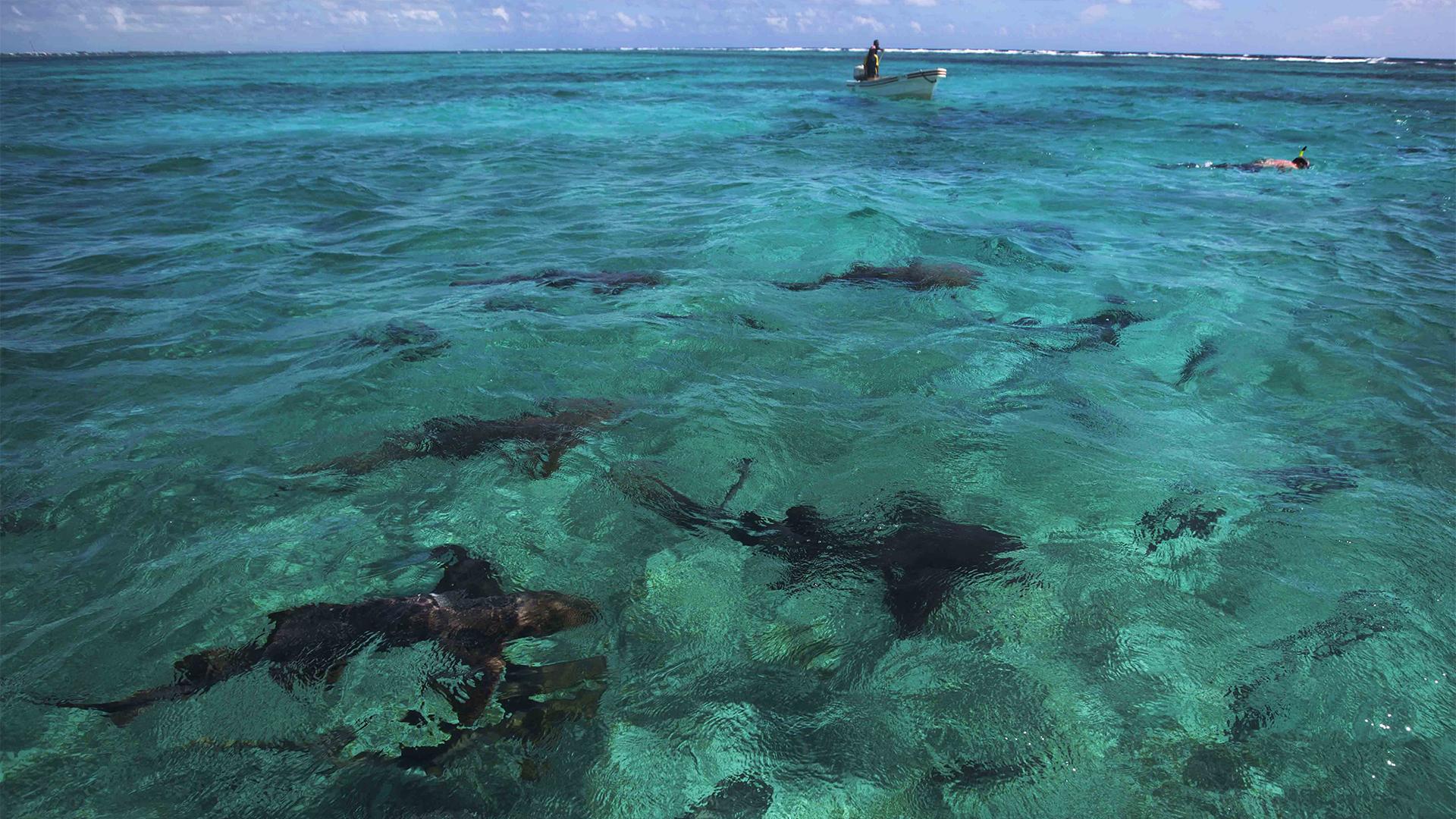 Фото: David De La Paz/globallookpress.com