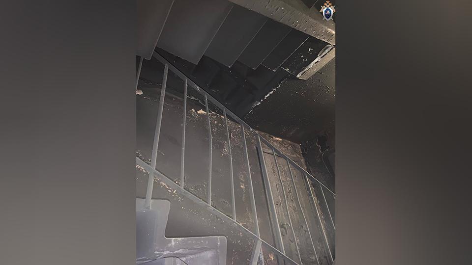 Фото: t.me/gsuskrf_spb