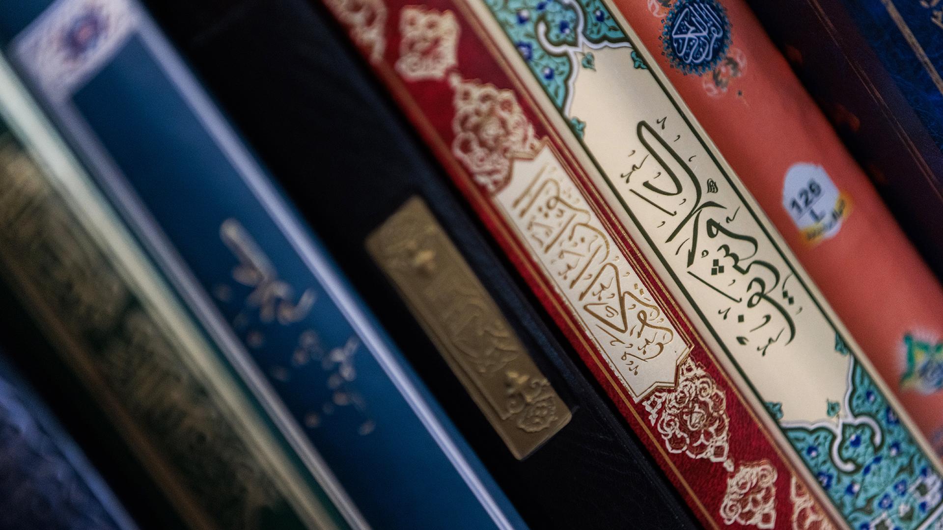 Фото: Sergey Elagin/globallookpress.com