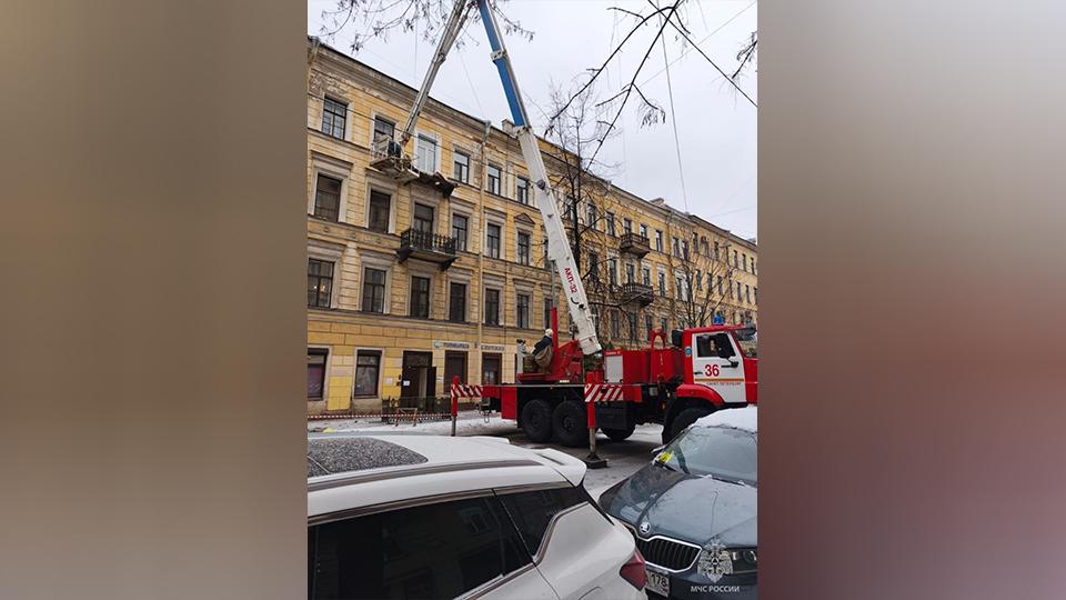 Фото: пресс-служба МЧС Санкт-Петербурга