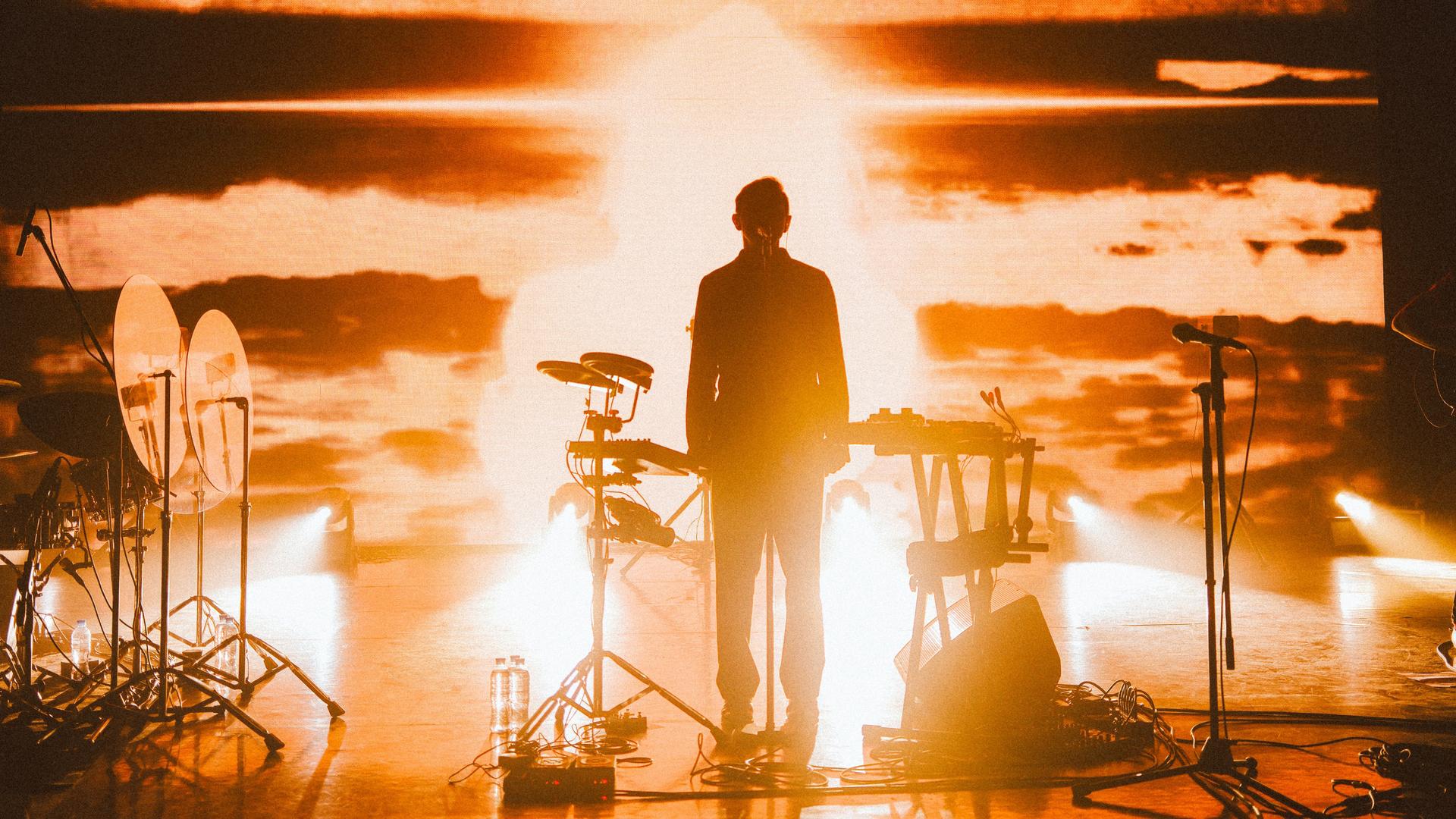 Фото: vk.com/Дельфин Dolphin