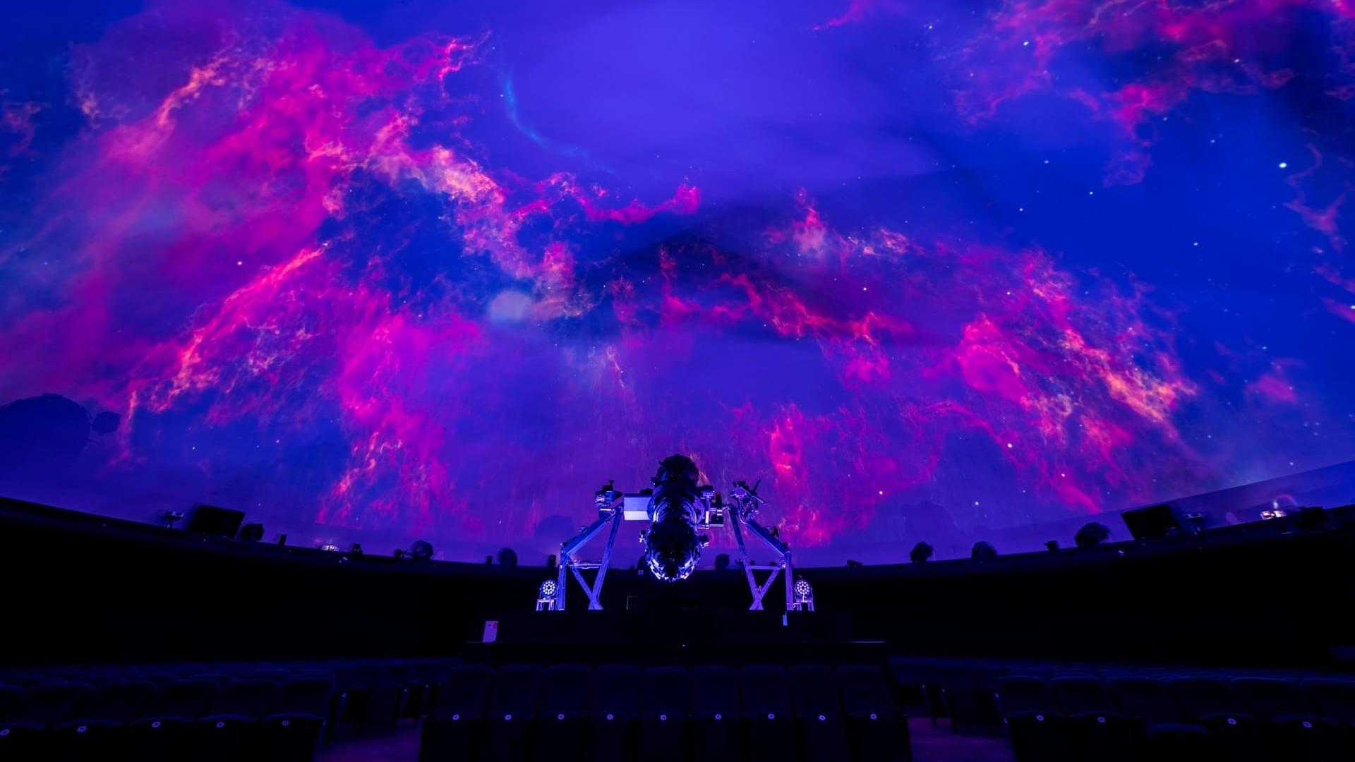 Фото: vk.com/planeta_spb