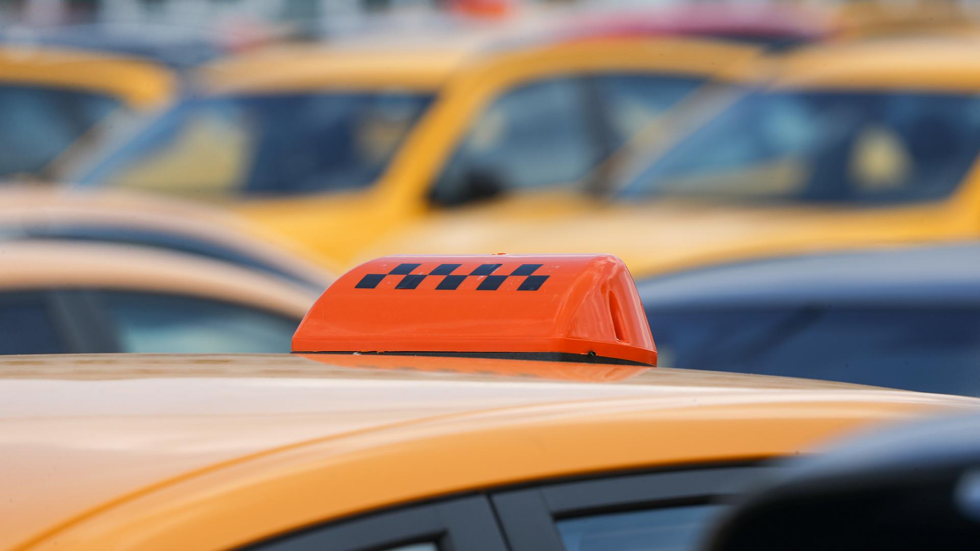 Фото: Belkin Alexey/globallookpress.com