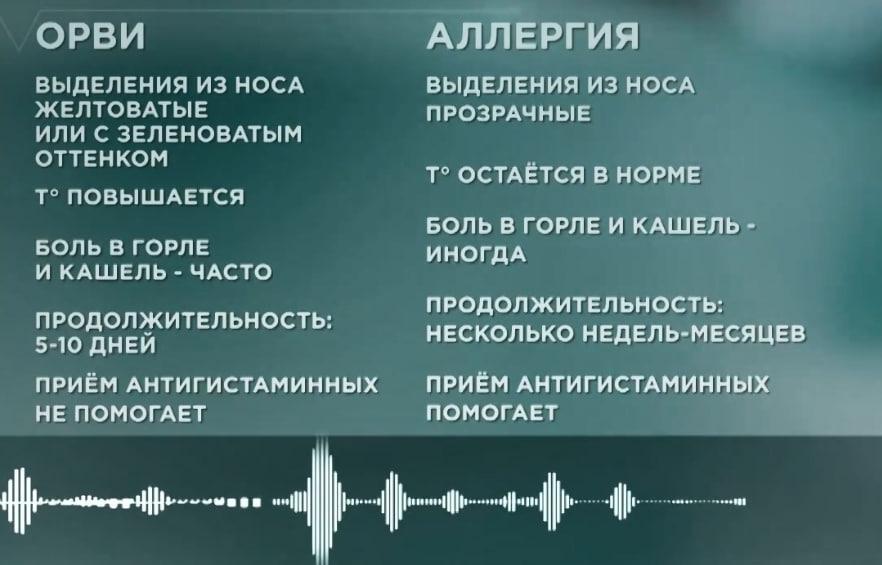 фото: 78.ru