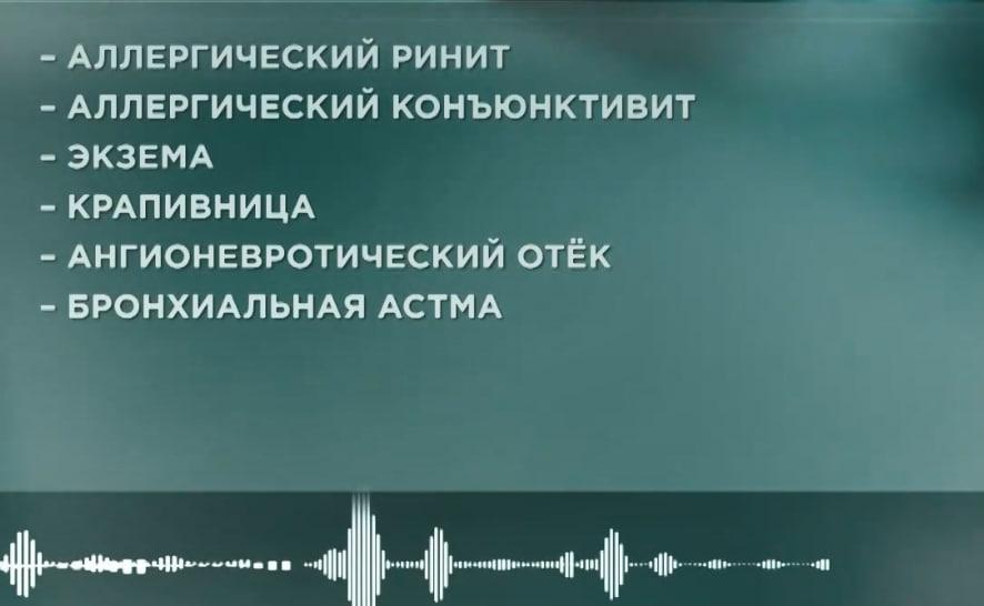 фото: 78.ru