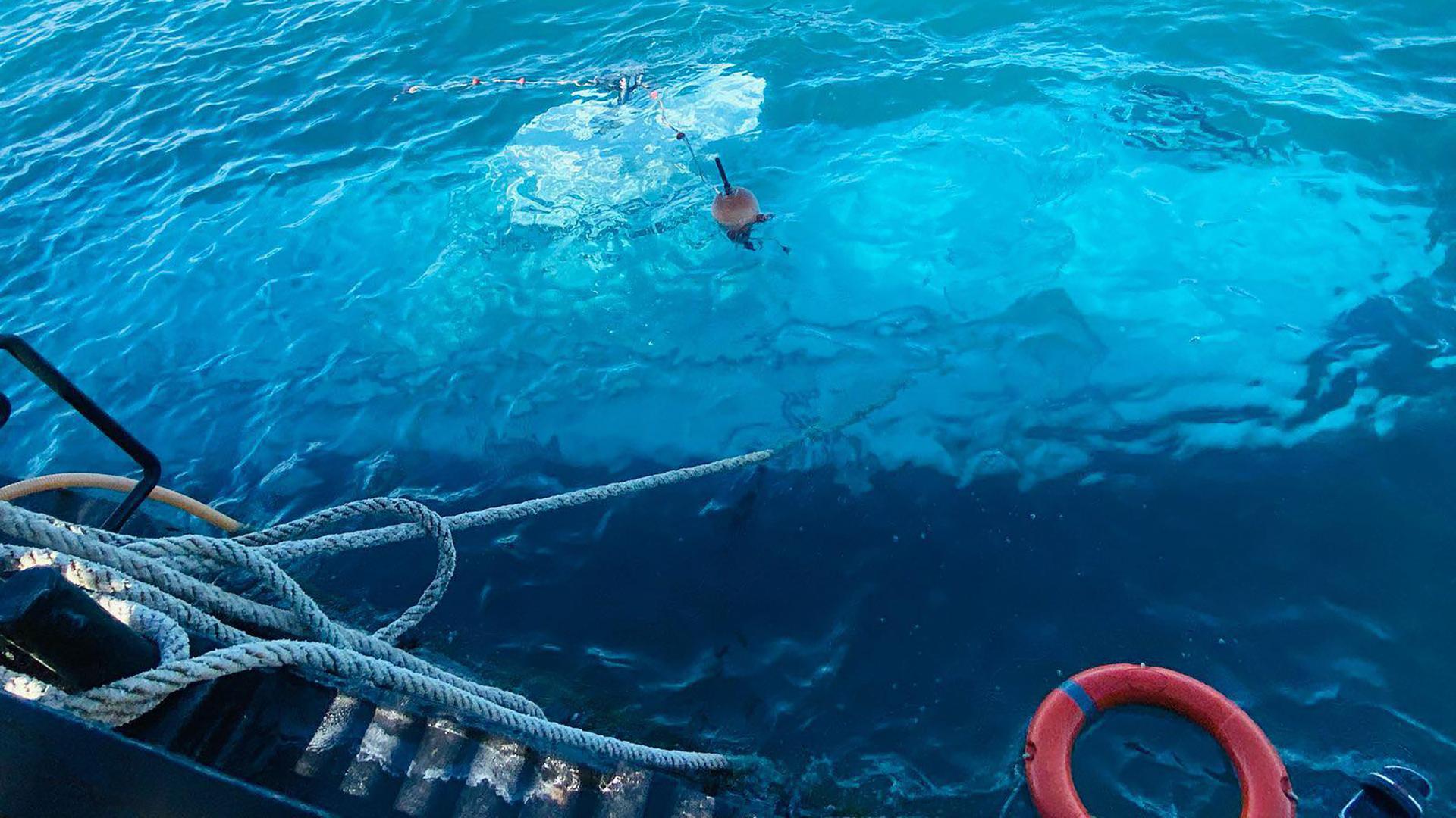 Фото: Ali Awad/Xinhua/globallookpress.com