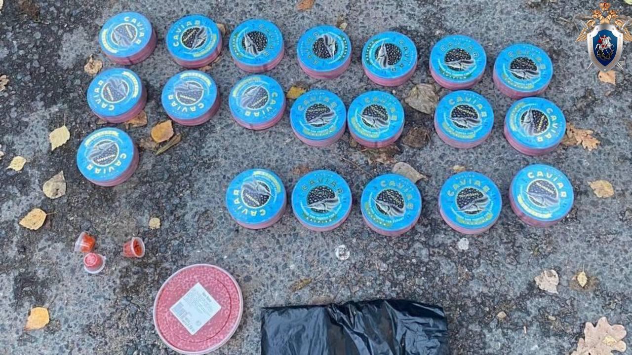 Фото: t.me/gsuskrf_spb