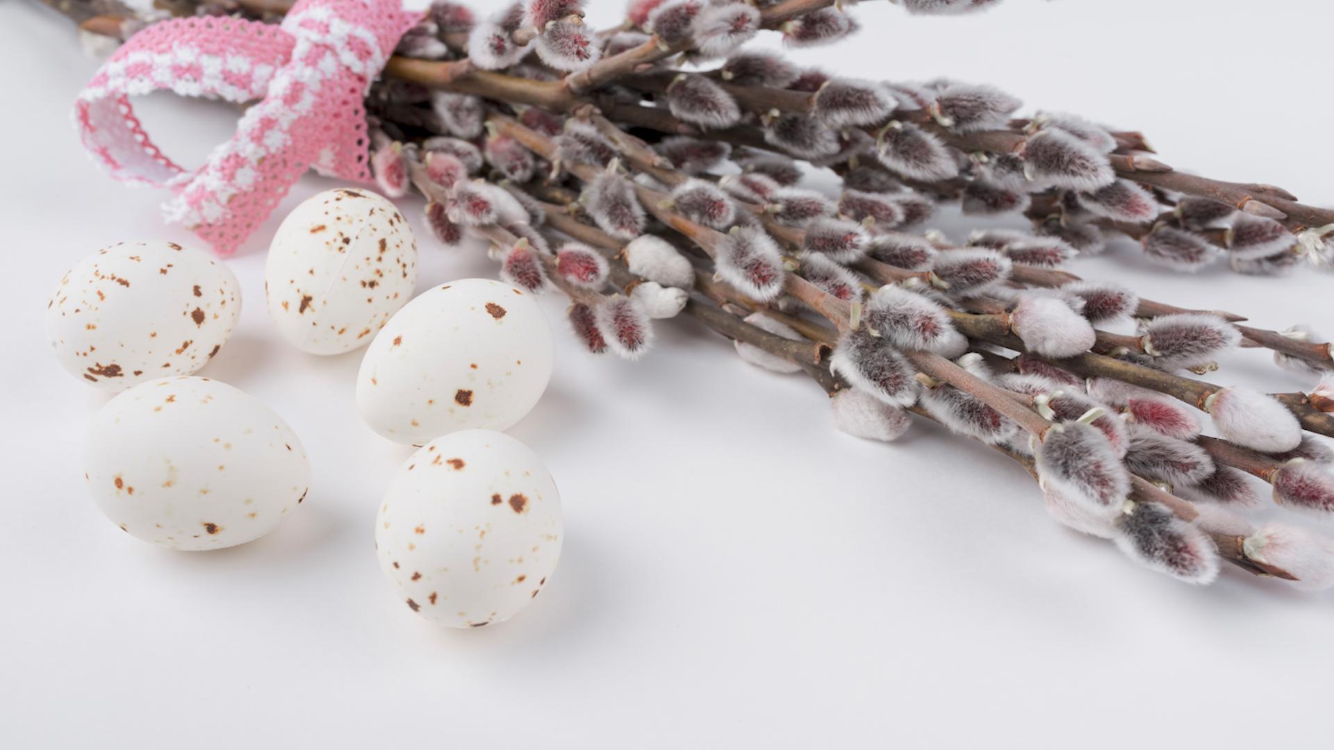 Фото: ru.freepik.com