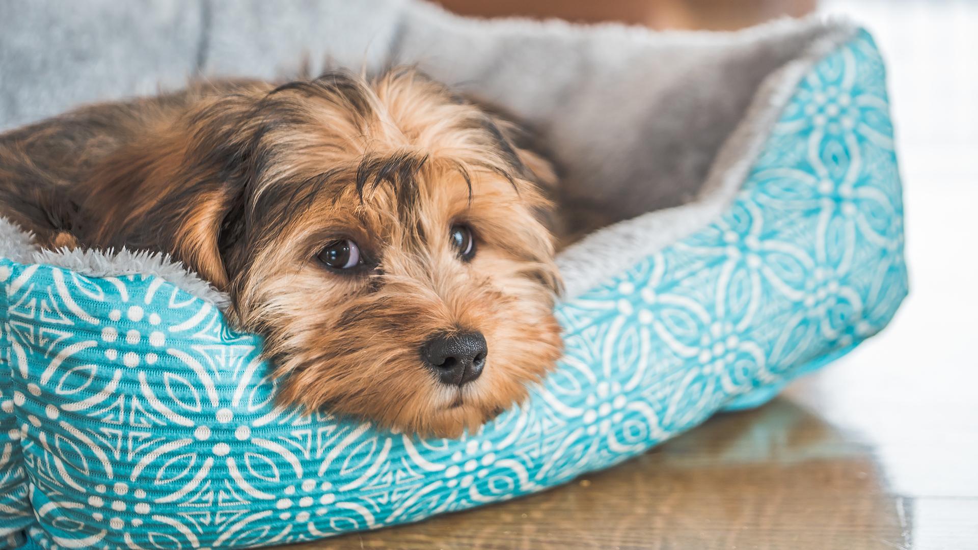 Фото: freepik.com/wirestock