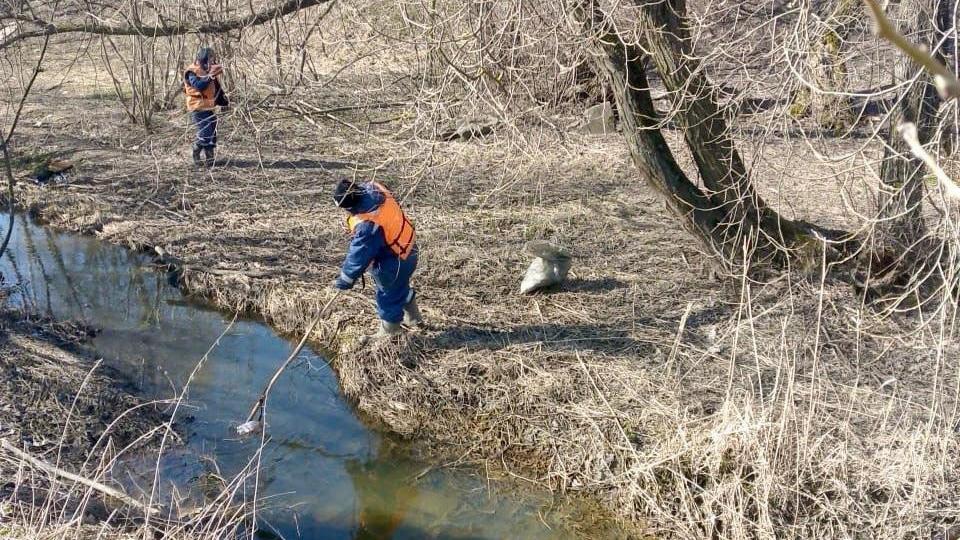 Фото: vk.com/spb_ecostroy