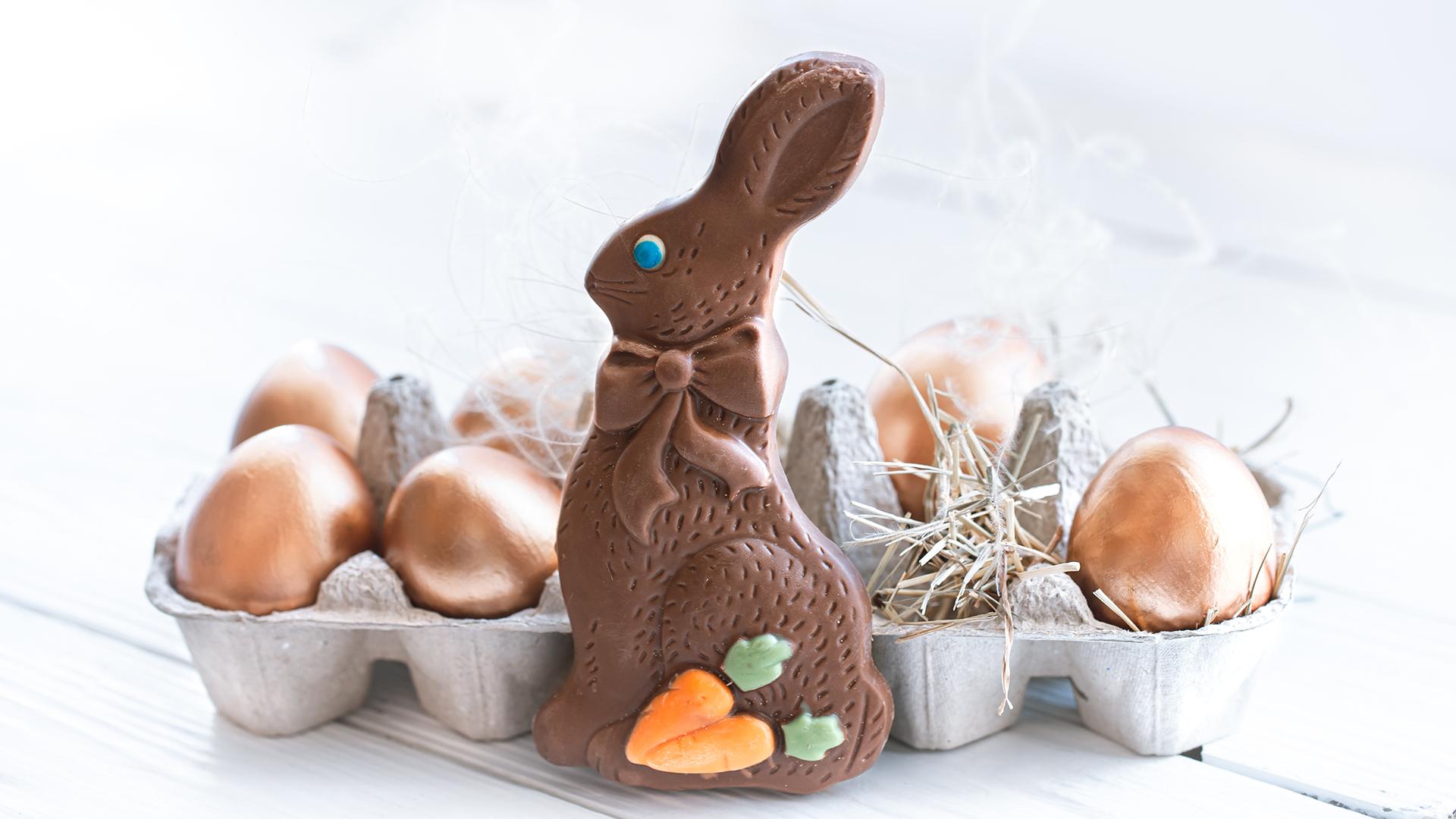 Фото: freepik.com/pvproductions