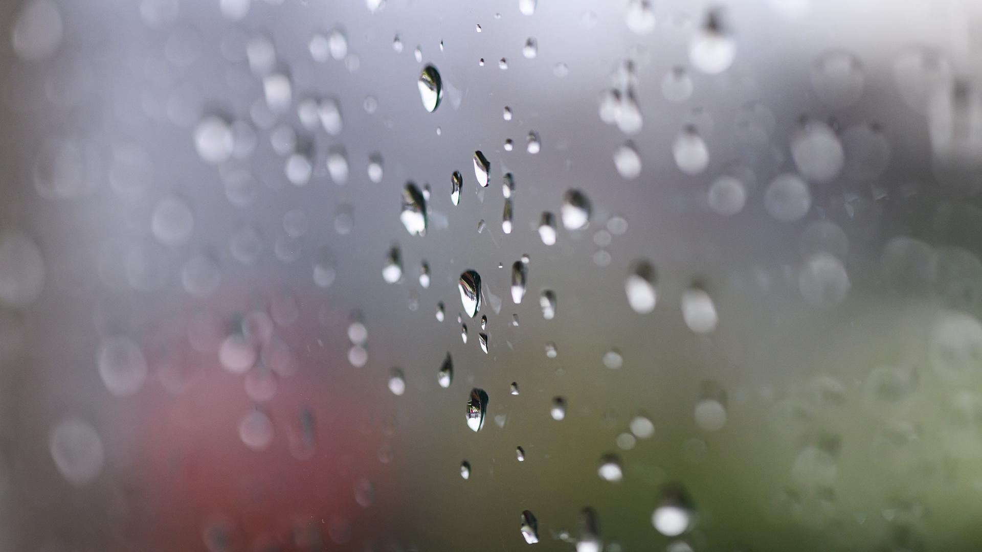 Фото: Robert Michael/globallookpress.com