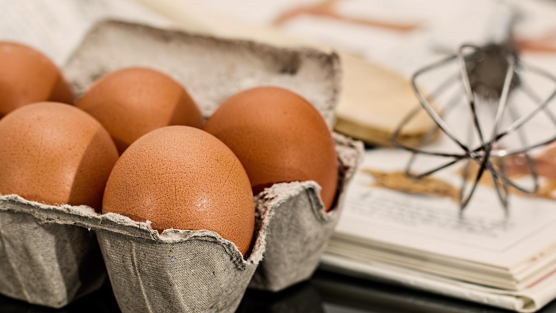 Фото: pixabay.com