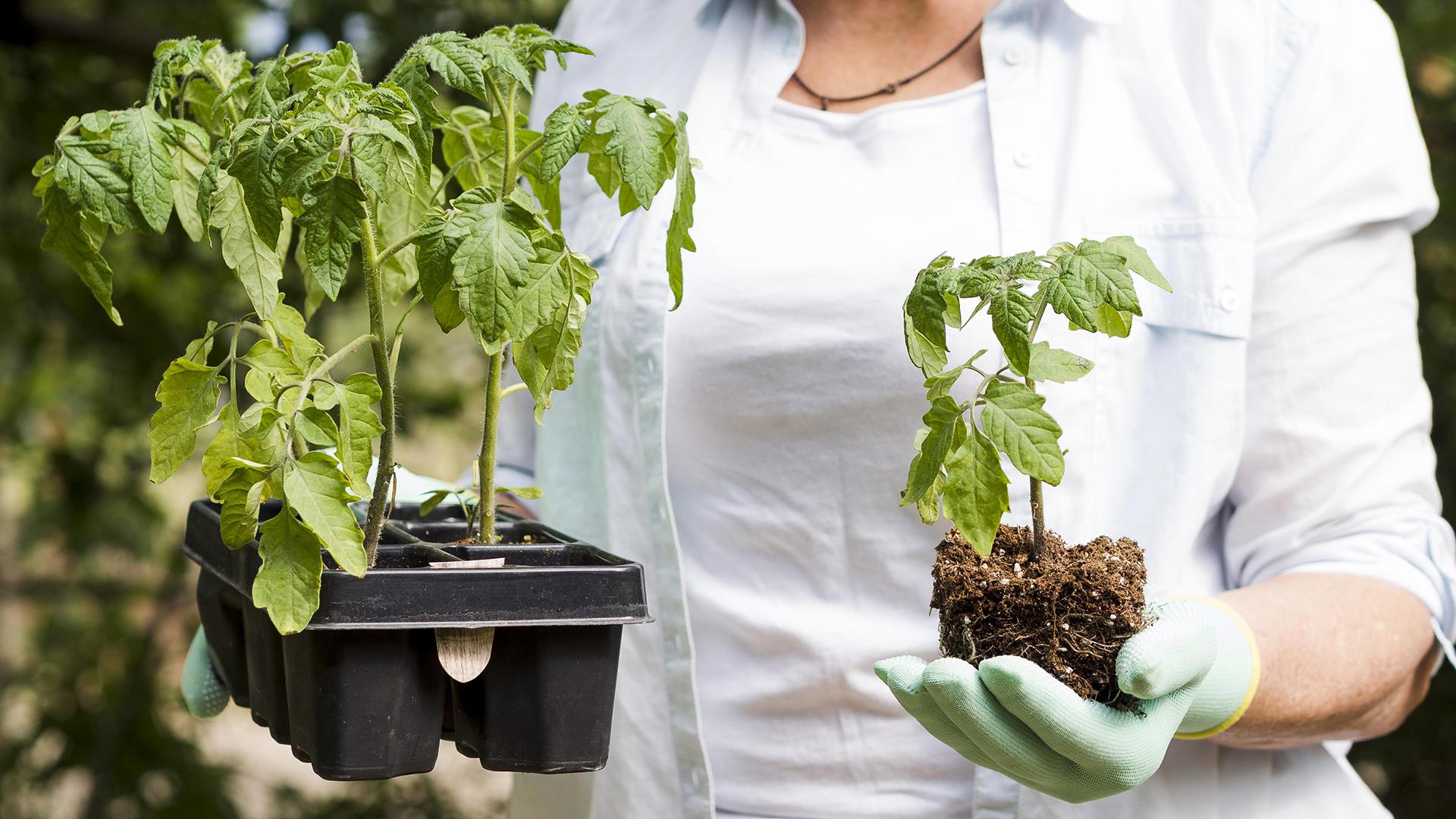 Фото: freepik.com