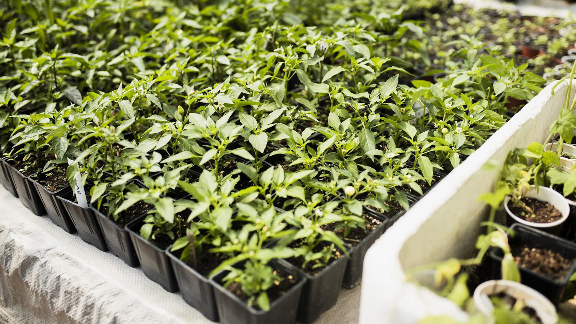 Фото: freepik.com