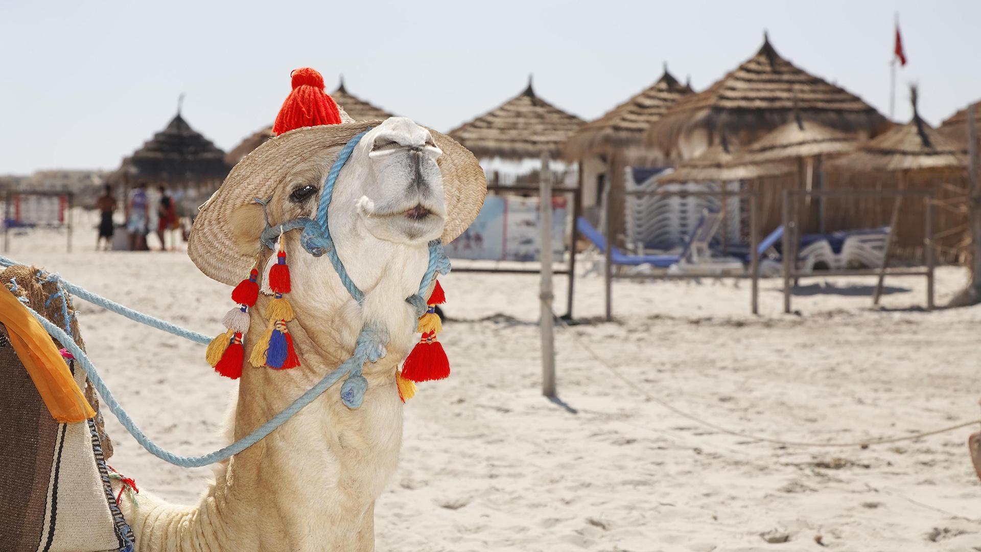 Фото: Günter Flegar/globallookpress.com