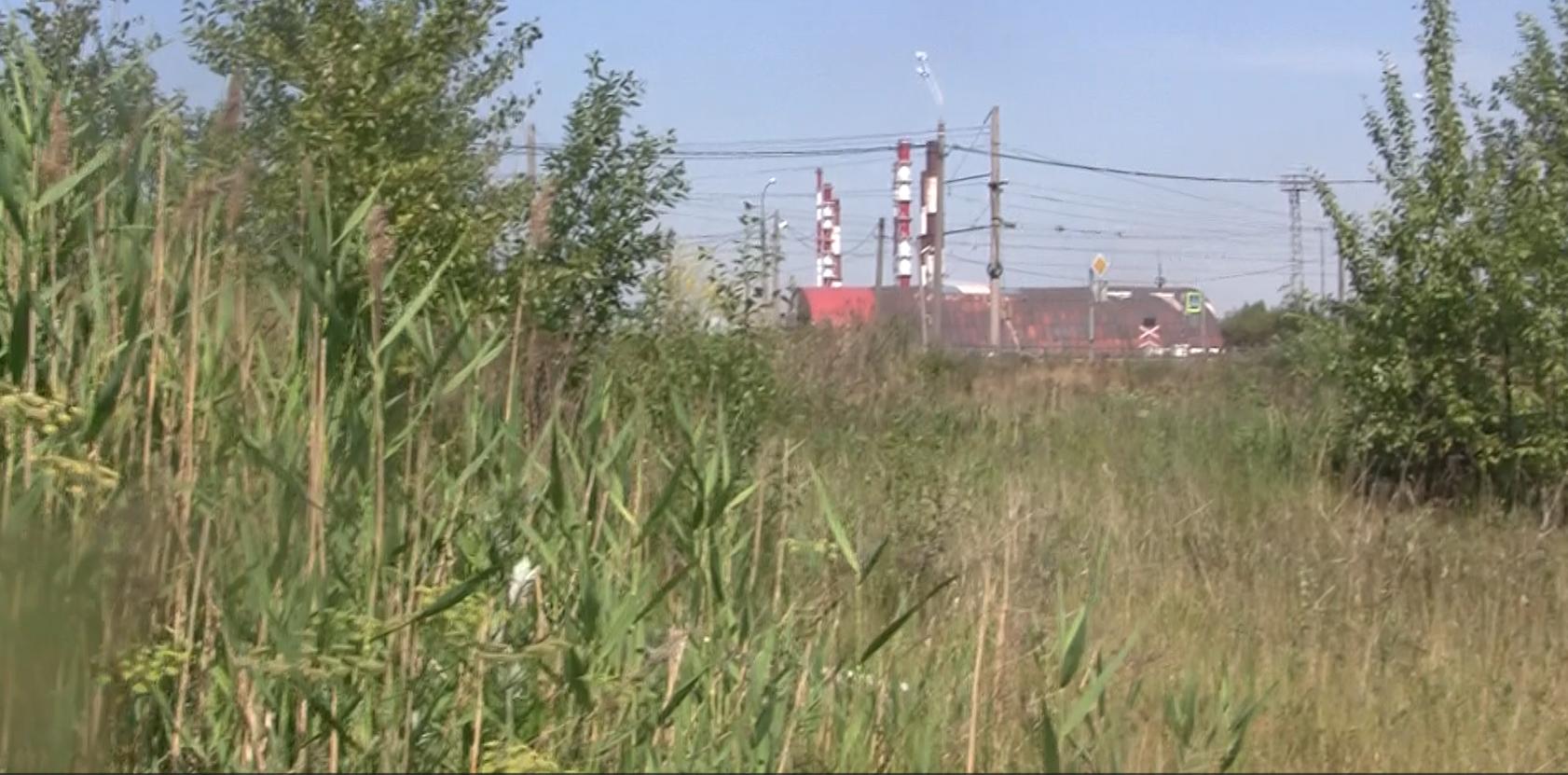 Место, куда Вороненко привёл следователей / Фото: 78.ru