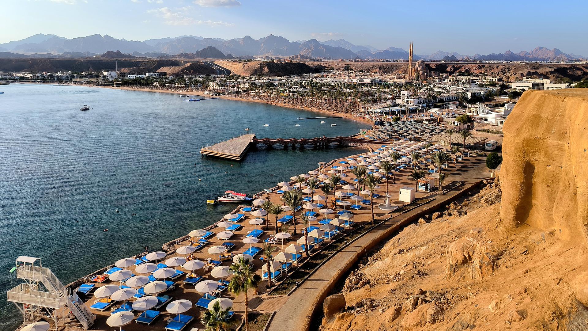 Фото: Maksim Konstantinov/globallookpress.com