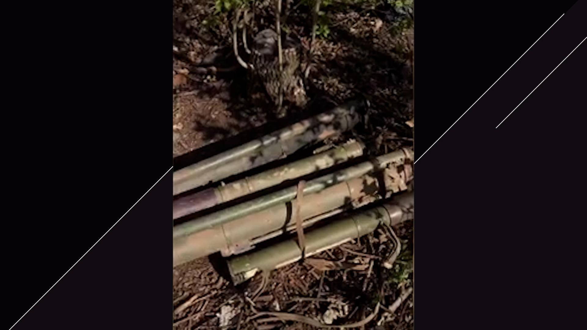 Фото: t.me/onfspb