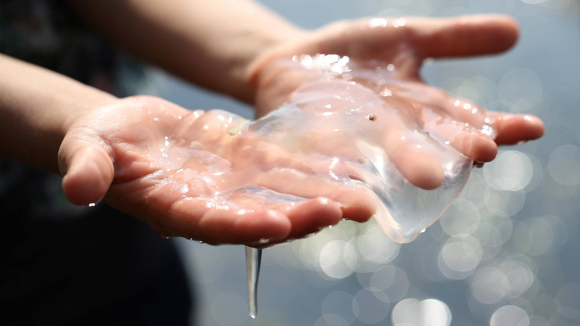 Фото: Andreas Gora/globallookpress.com