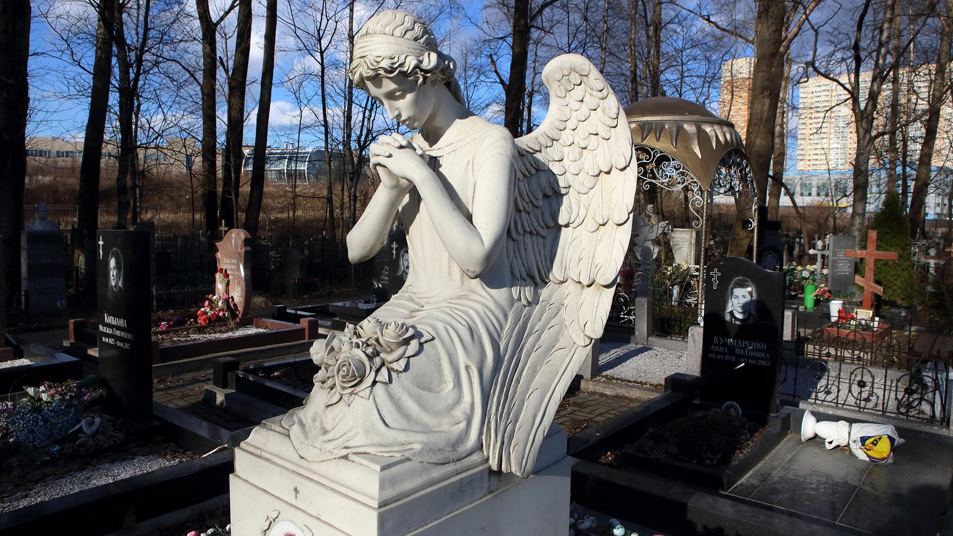 Фото: Zamir Usmanov/globallookpress.com