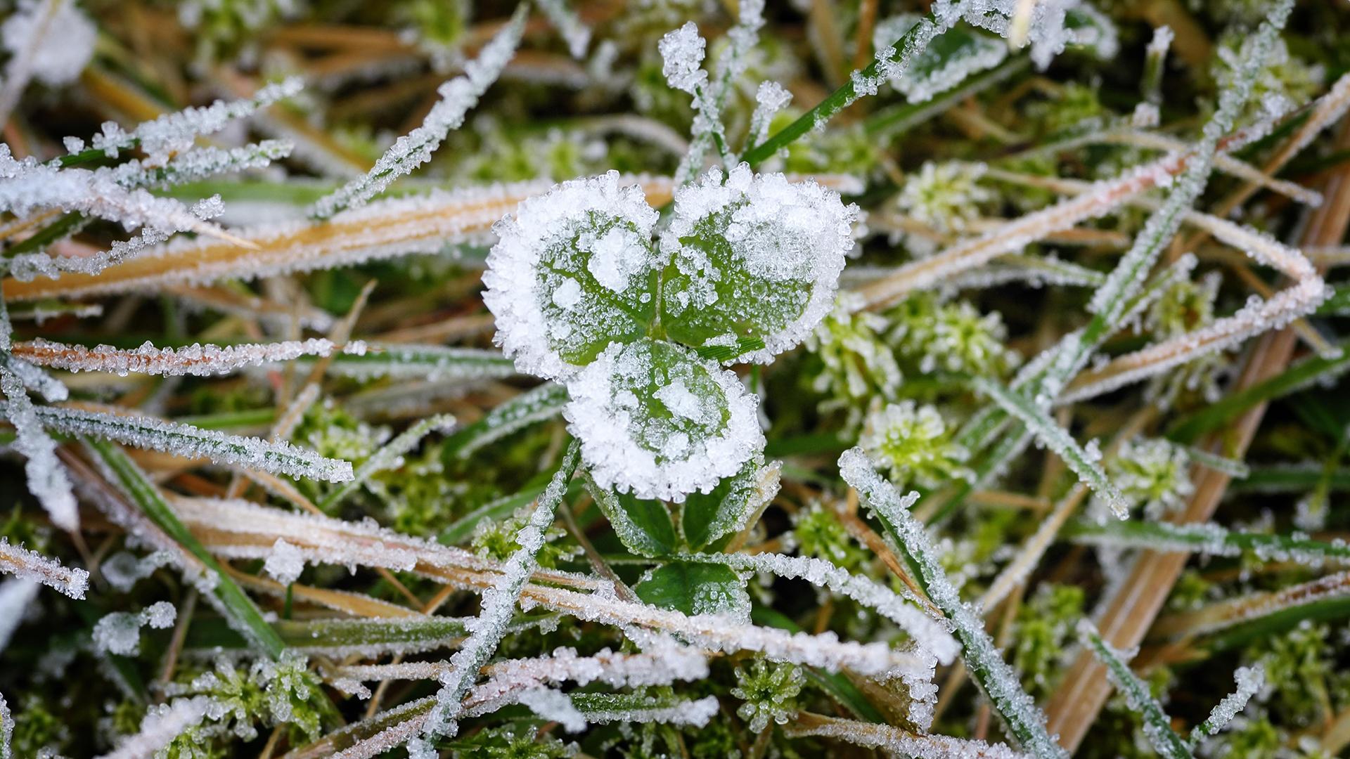 Фото: Christian Ohde/globallookpress.com