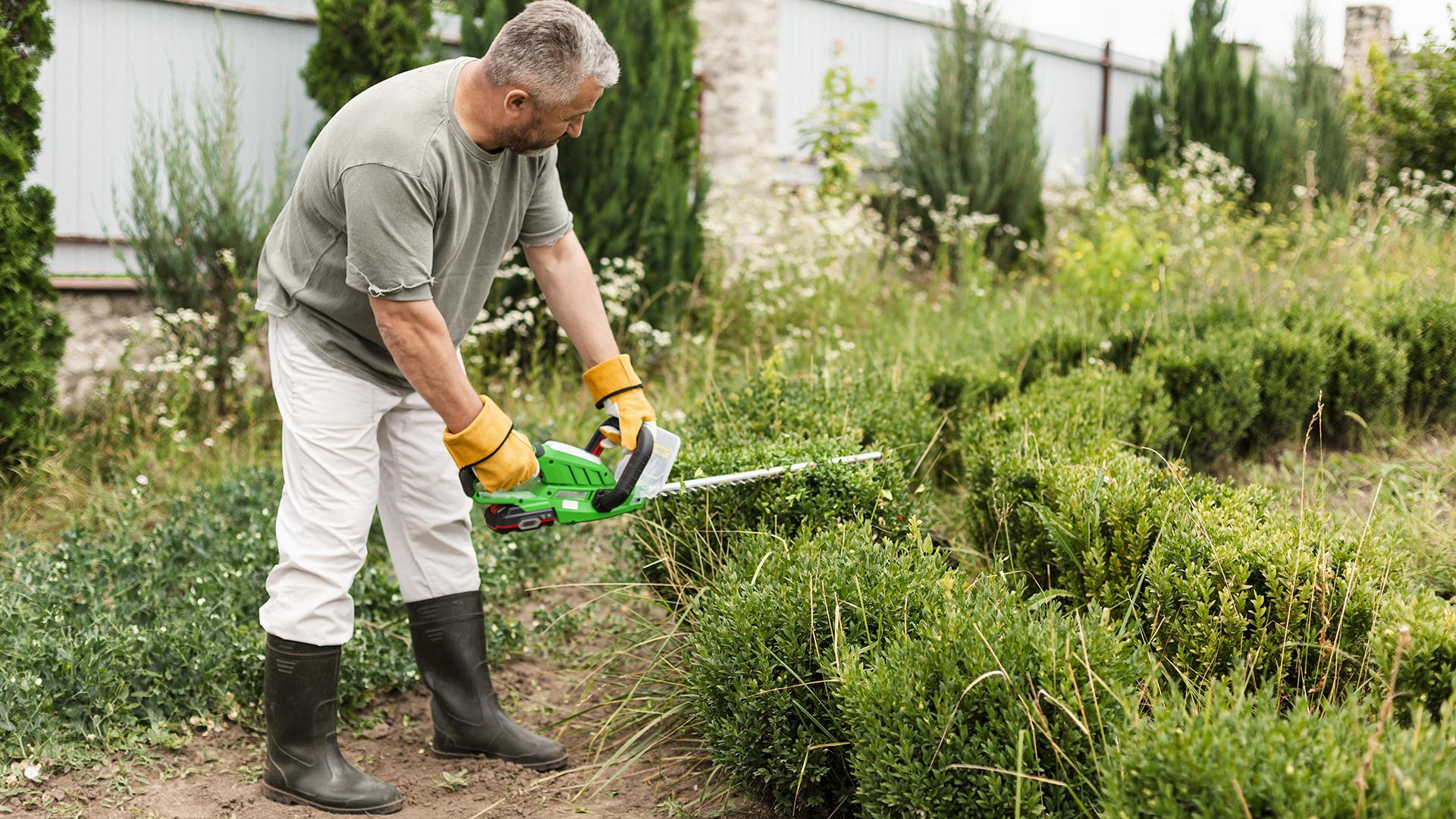 Фото: freepik.com