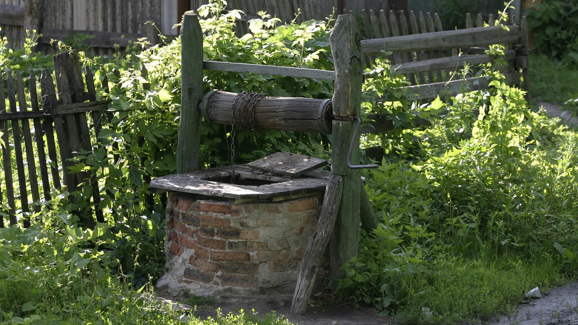 Фото: Nikolay Titov/globallookpress.com