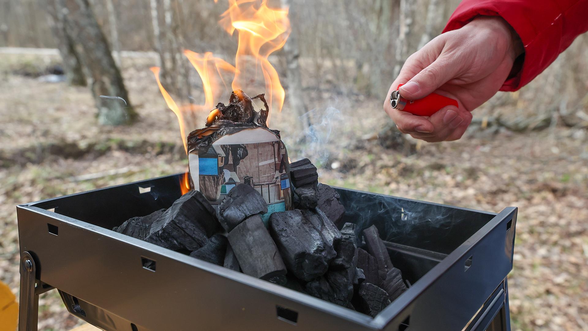 Фото: Belkin Alexey/globallookpress.com