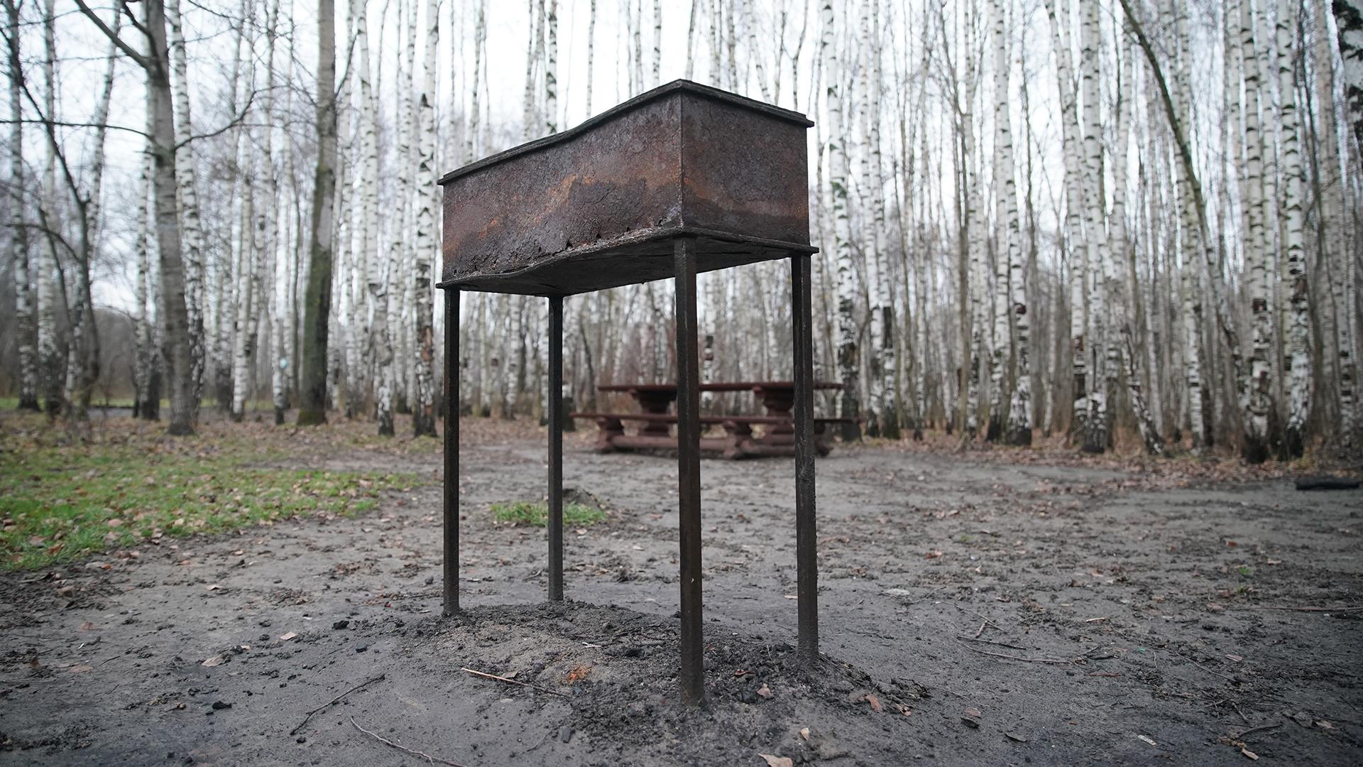 Фото: ИЗВЕСТИЯ