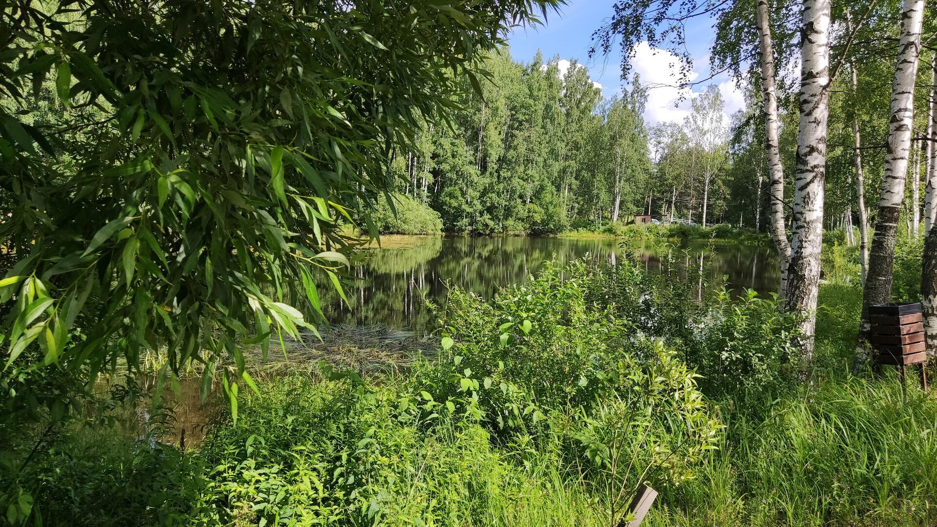 Фото: vk.com / Комитет по благоустройству Санкт-Петербурга