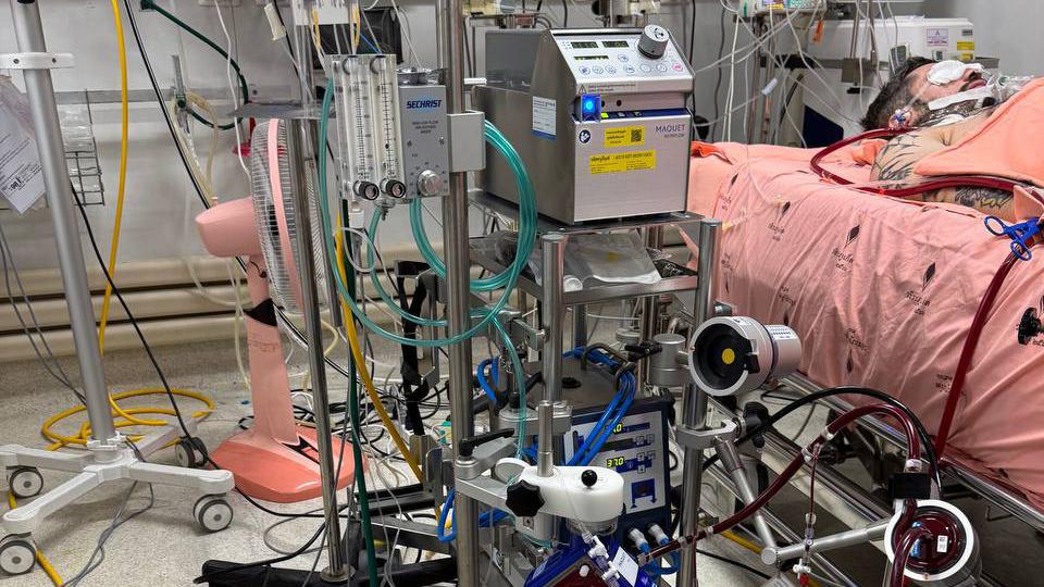 Фото: tg-канал проекта 