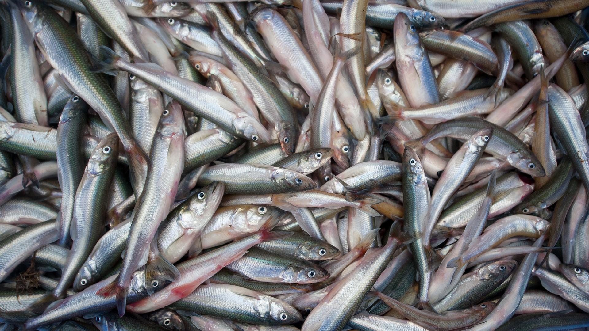 Фото: Philipp Schulze/globallookpress.com