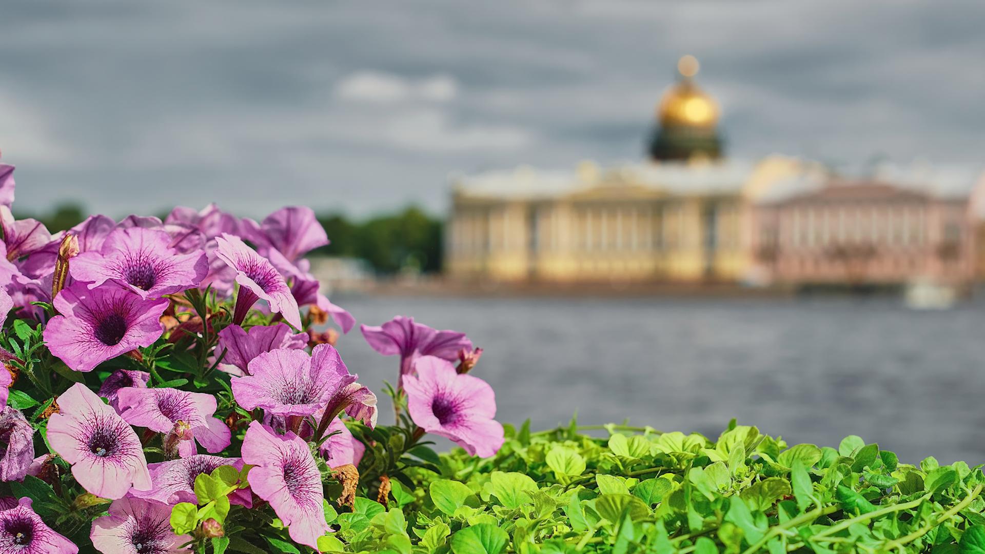 Фото: ru.freepik.com