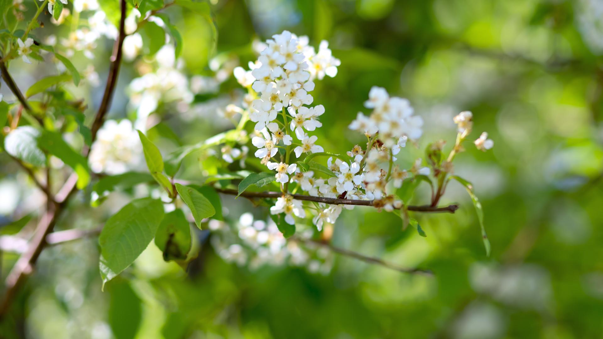 Фото: Elena Mayorova/globallookpress.com