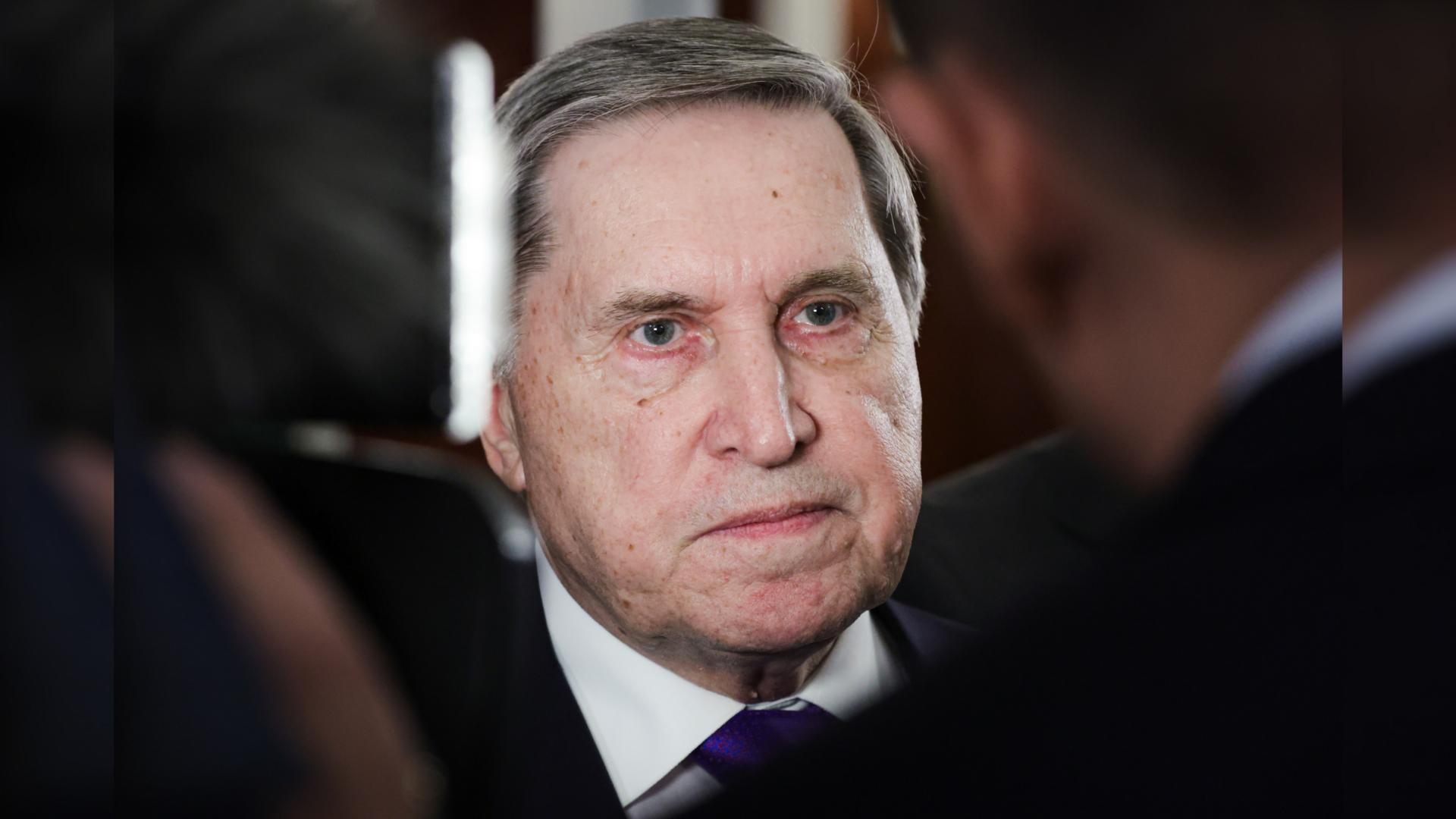 Фото: Roman Naumov/globallookpress.com