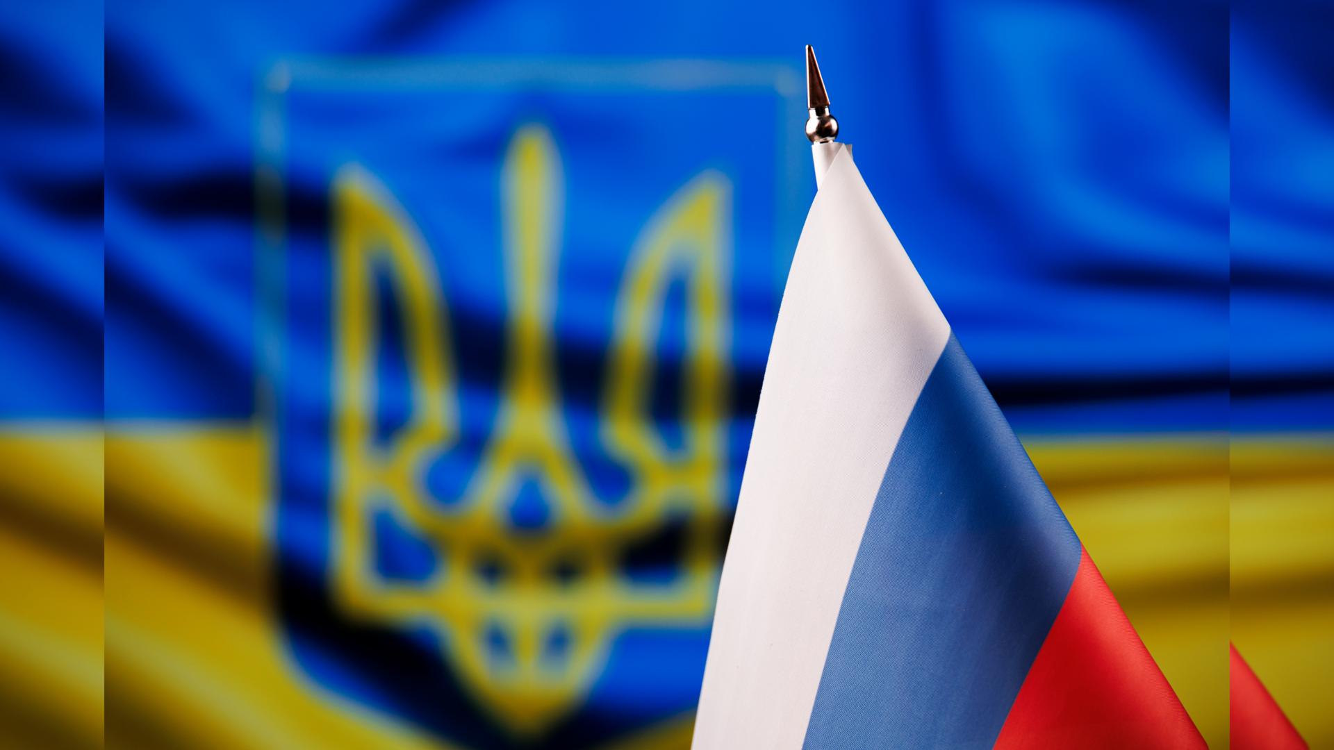 Фото: Sergey Elagin/globallookpress.com