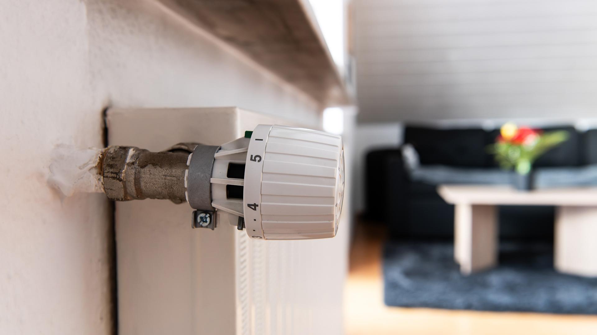 Фото: Silas Stein/globallookpress.com