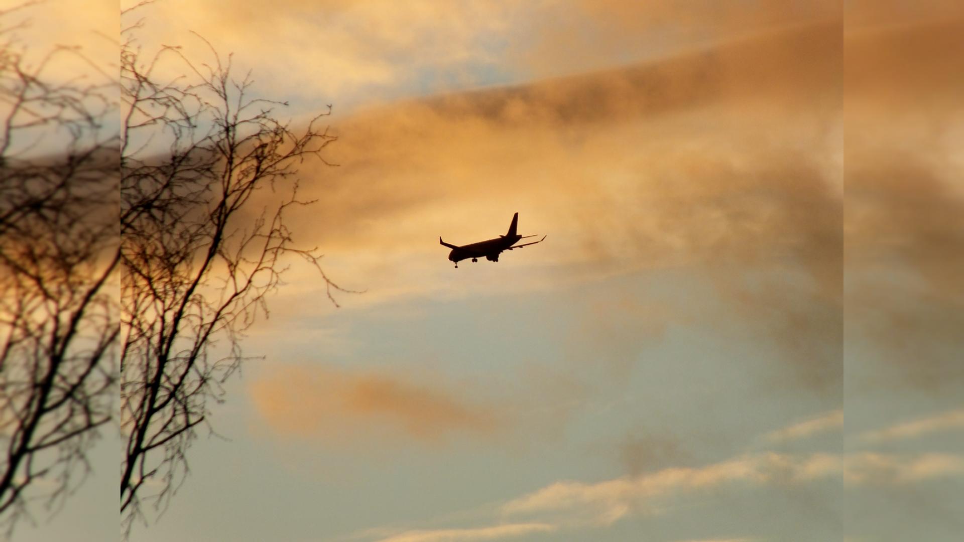 Фото: Victor Lisitsyn/globallookpress.com