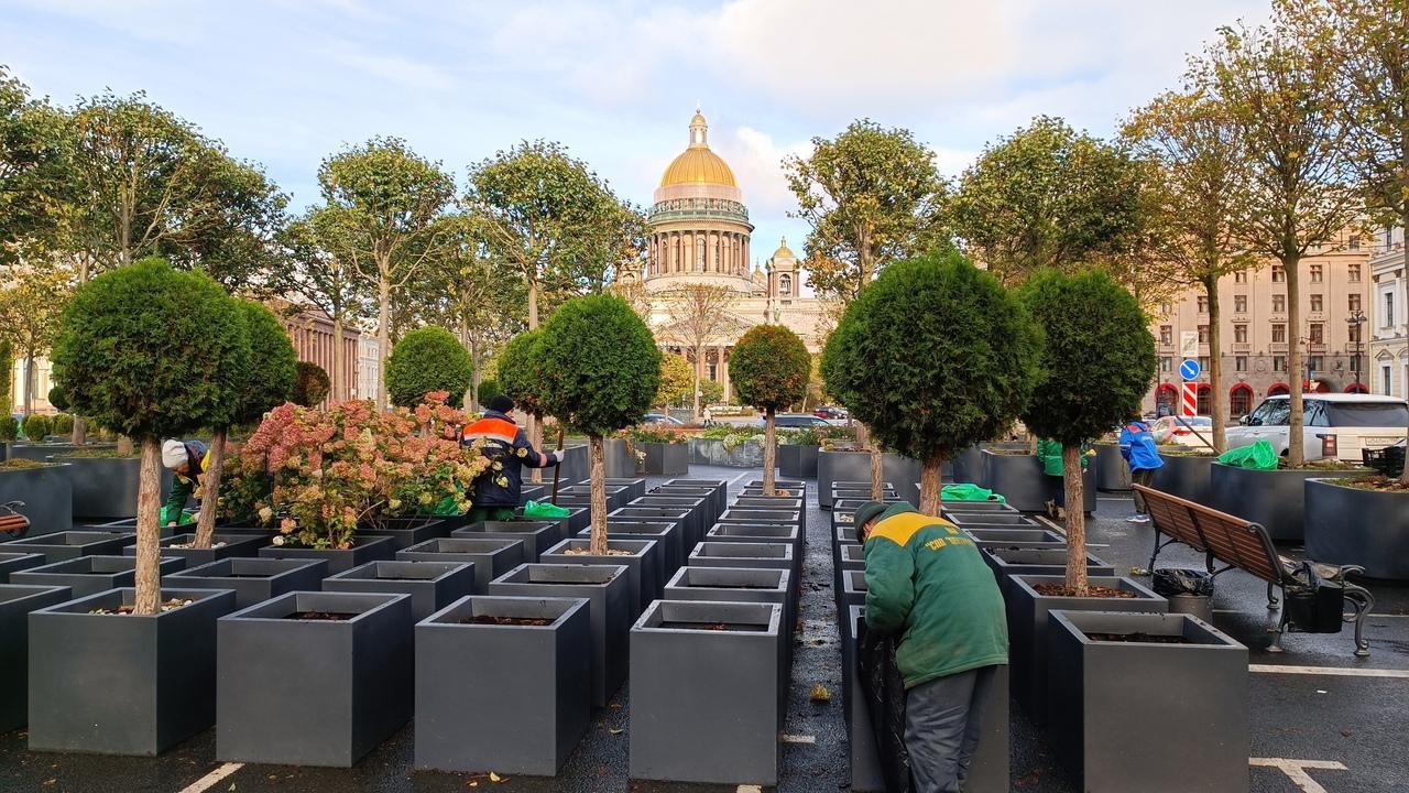 Фото: пресс-служба администрации Санкт‑Петербурга