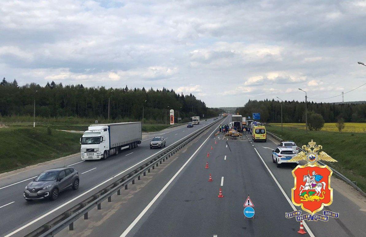 Фото: пресс-служба ГУ МВД России по Московской области