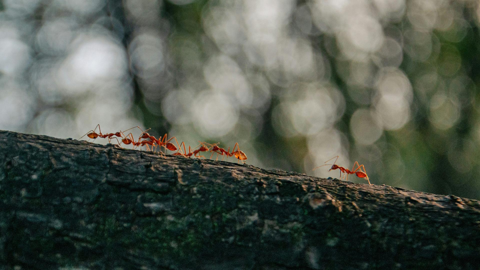 Фото: unsplash.com