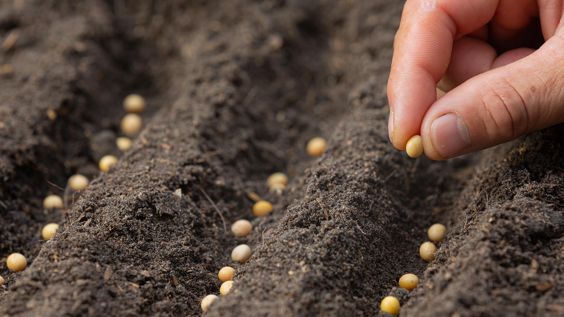 Фото: freepik.com/jcomp