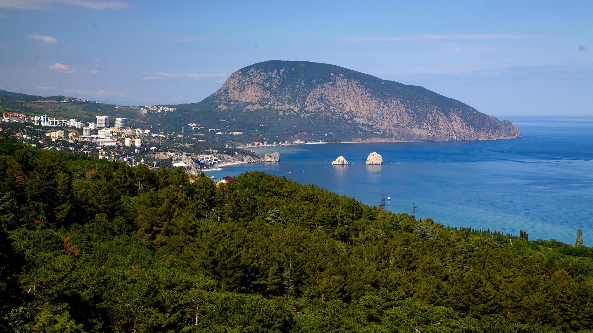 Фото: Aleksander Lyskin/globallookpress.com